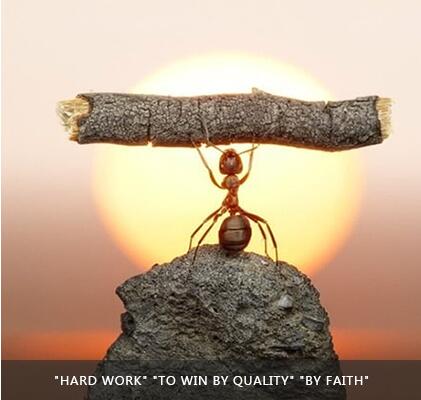 必赢亚洲(中国区)官方网站