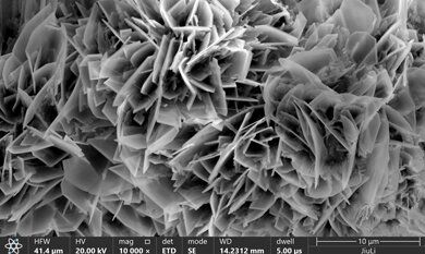 必赢亚洲(中国区)官方网站